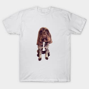 Cockerpoo Cockapoo Spoodle Dog T-Shirt